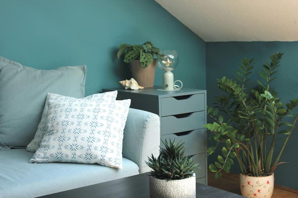Apartment Cozy On The Buda Side Of Margit Bridge