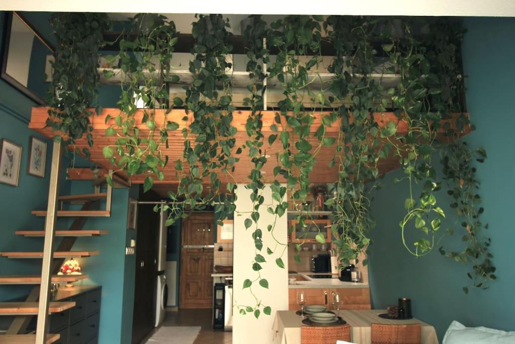 Cozy On The Buda Side Of Margit Bridge Apartment Budapest