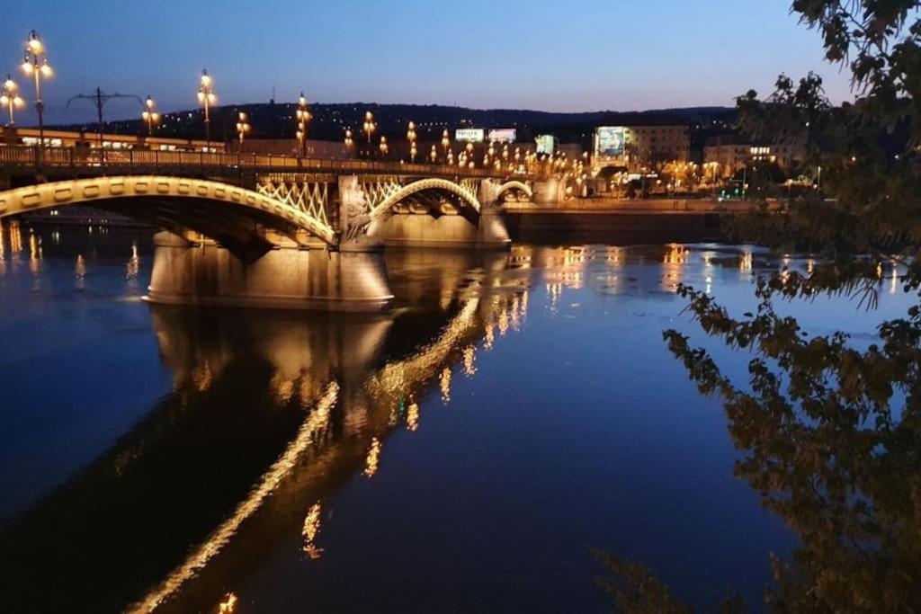 Cozy On The Buda Side Of Margit Bridge Budapest